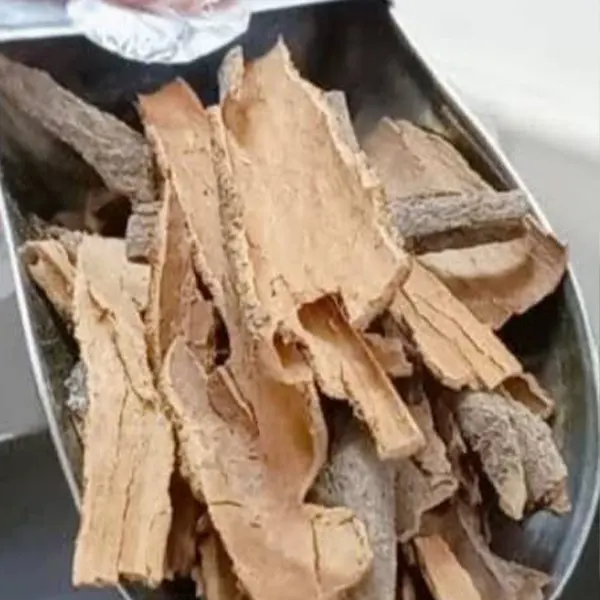 خرید چوب دارچین ساده با بهترین قیمت و کیفیت اصل