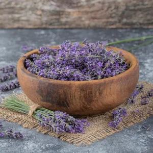 خرید اسطوخودوس فرانسوی