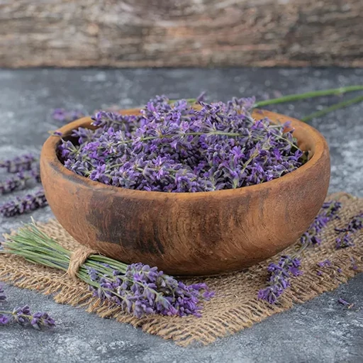 خرید اسطوخودوس فرانسوی