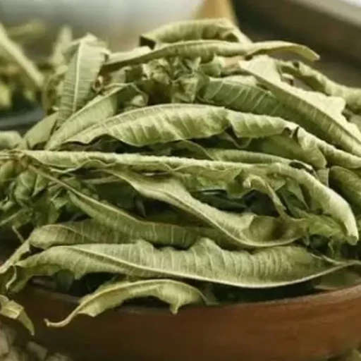 برگ ببری