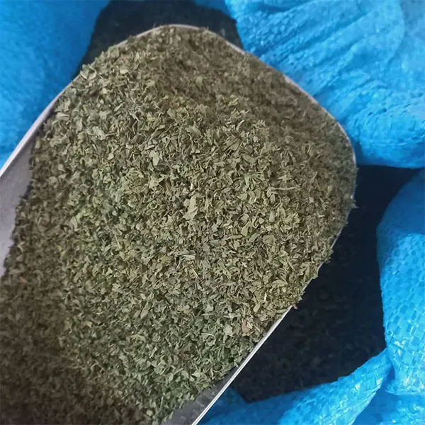 خرید نعنا خشک اعلا (بالاترین کیفیت، قیمت روز و ارسال سریع)