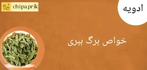 خواص برگ ببری