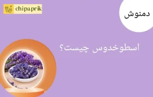 دمنوش اسطوخودوس چیست