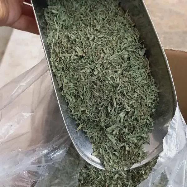 مرزه خشک اعلا – خرید مرزه خشک با قیمت مناسب