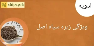 ویژگی زیره سیاه اصل