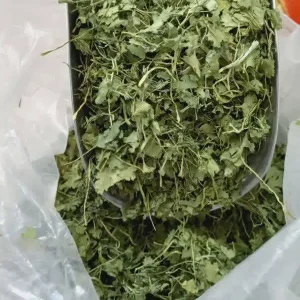 خرید گشنیز خشک اعلا و ارگانیک