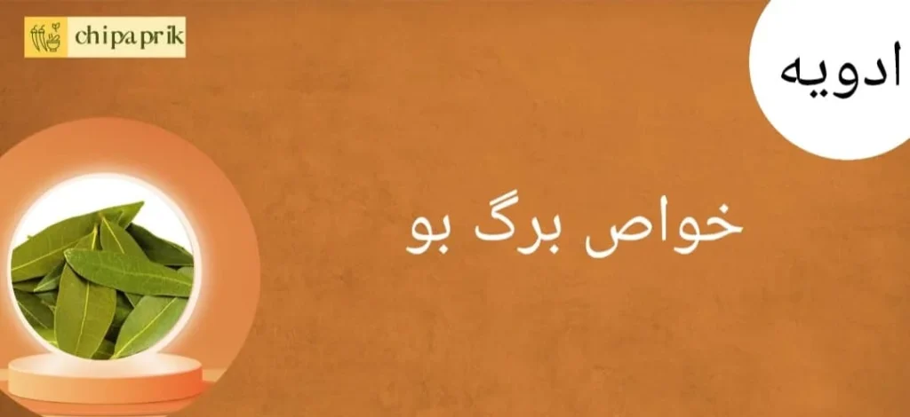 خواص برگ بو