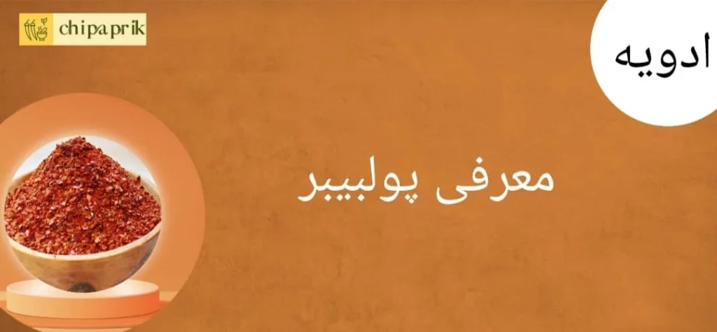 معرفی پولبیبر