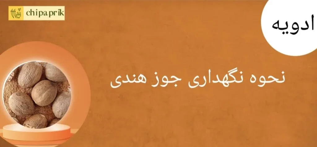 نحوه نگهداری جوز هندی