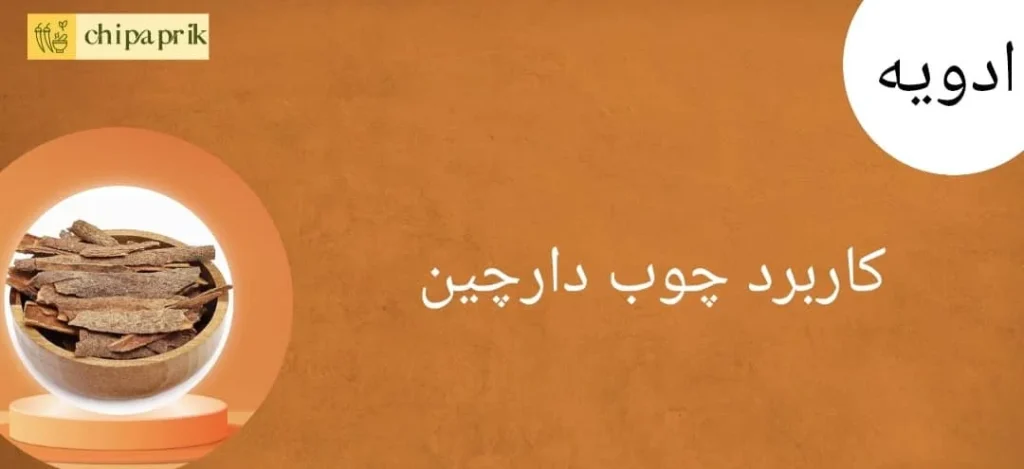 کاربرد چوب دارچین