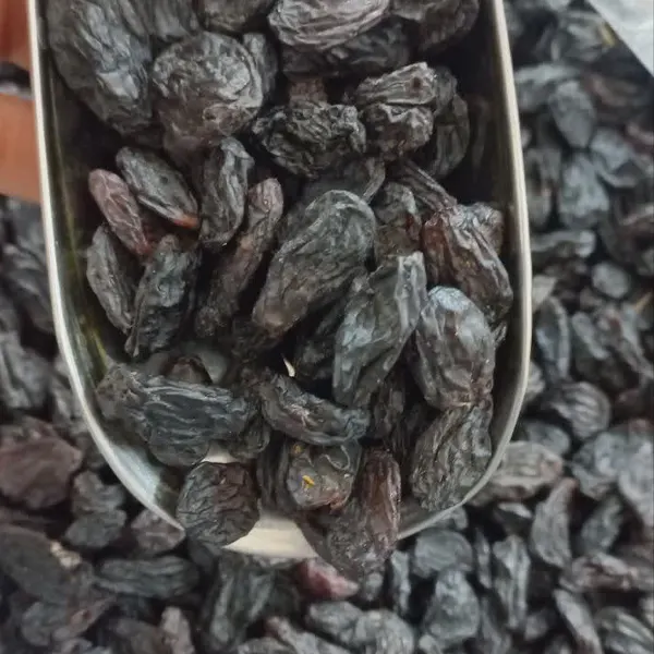 خرید مویز ارگانیک با قیمت مویز اعلا